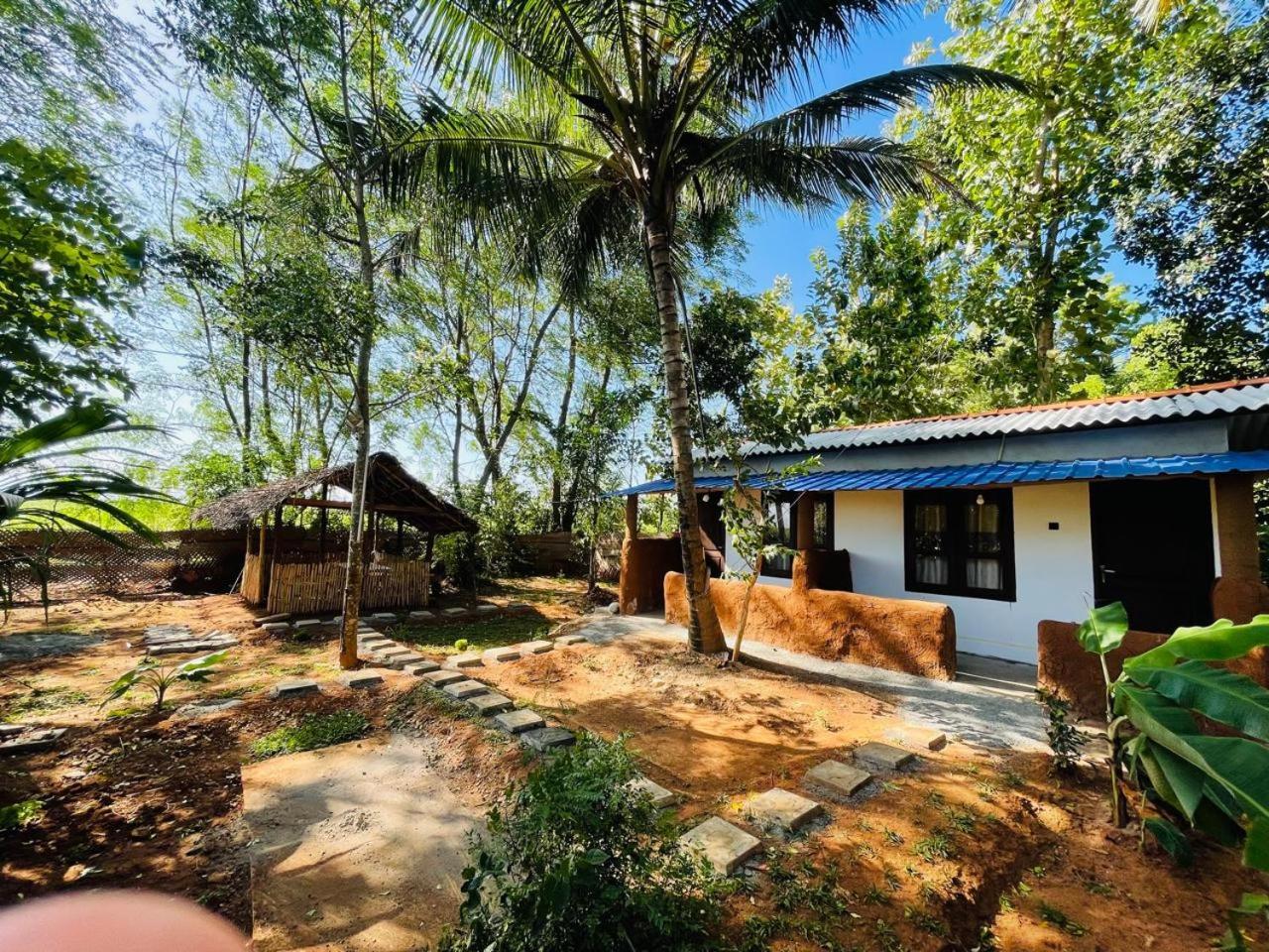Elephant Safari Homestay Udawalawe