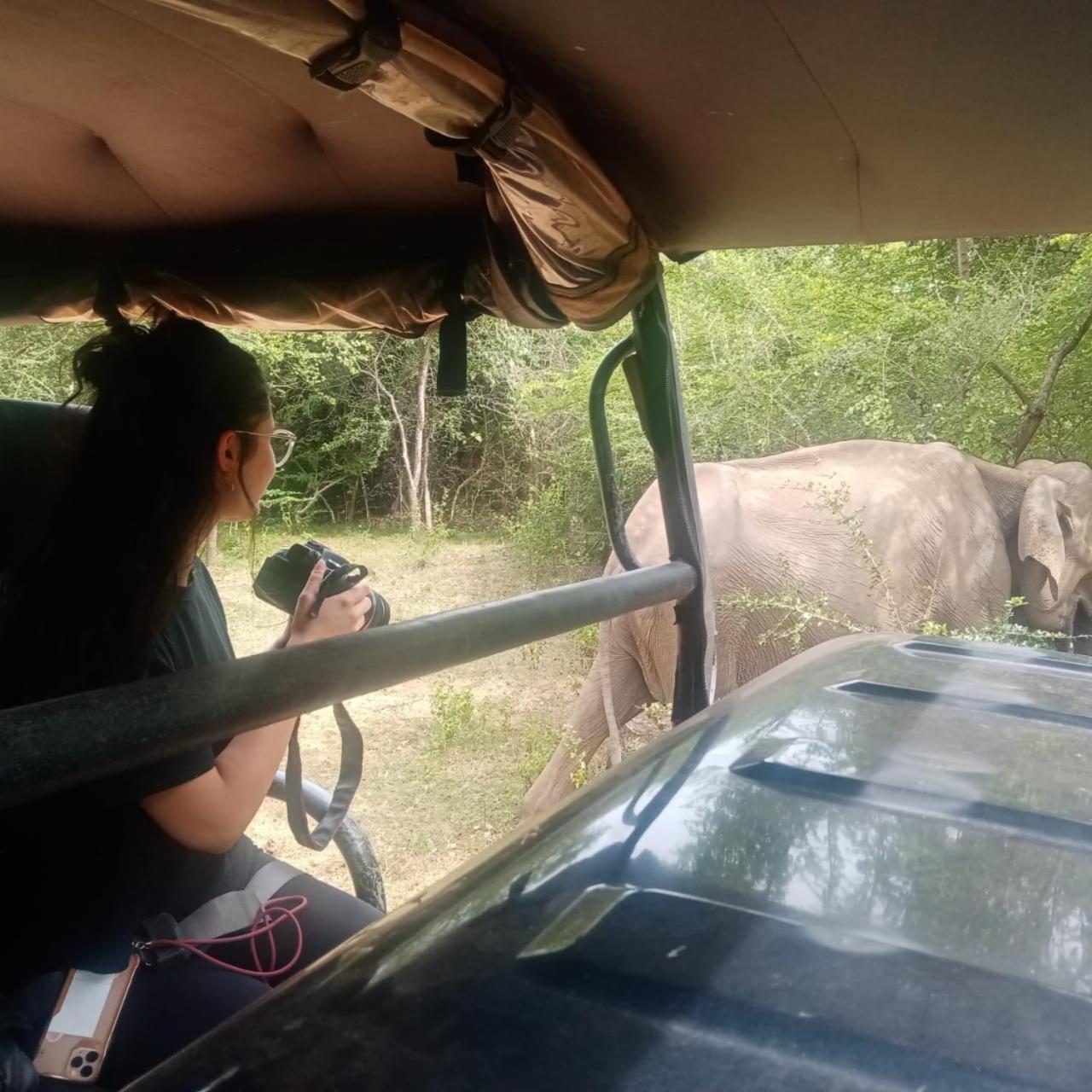 Homestay Elephant Safari