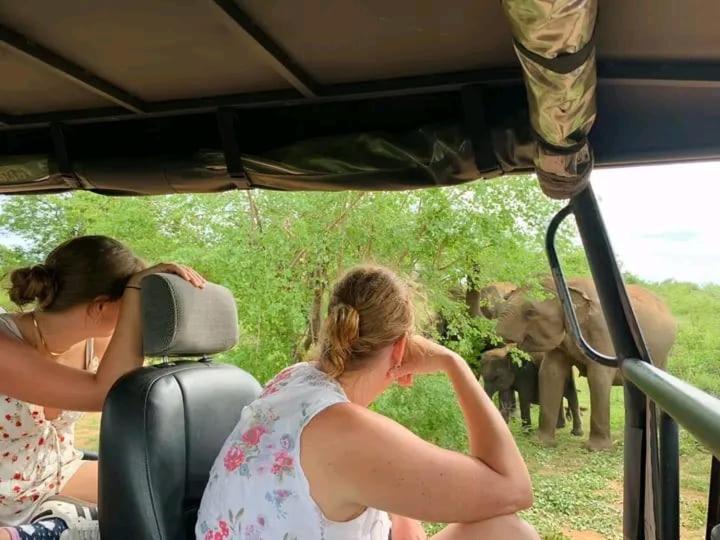 Elephant Safari *
