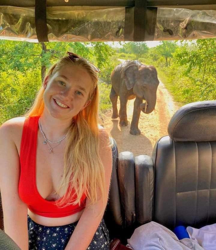 Elephant Safari *