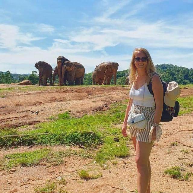 Homestay Elephant Safari