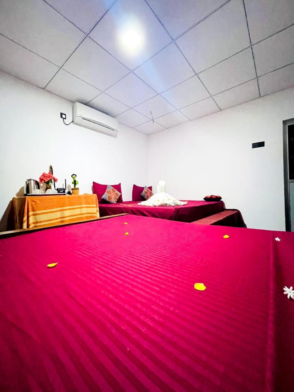 Elephant Safari Homestay Udawalawe