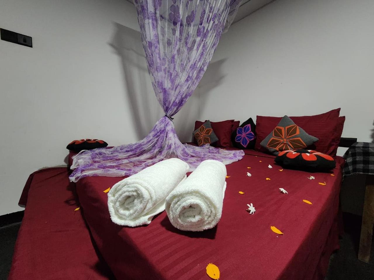 Homestay Elephant Safari Udawalawe