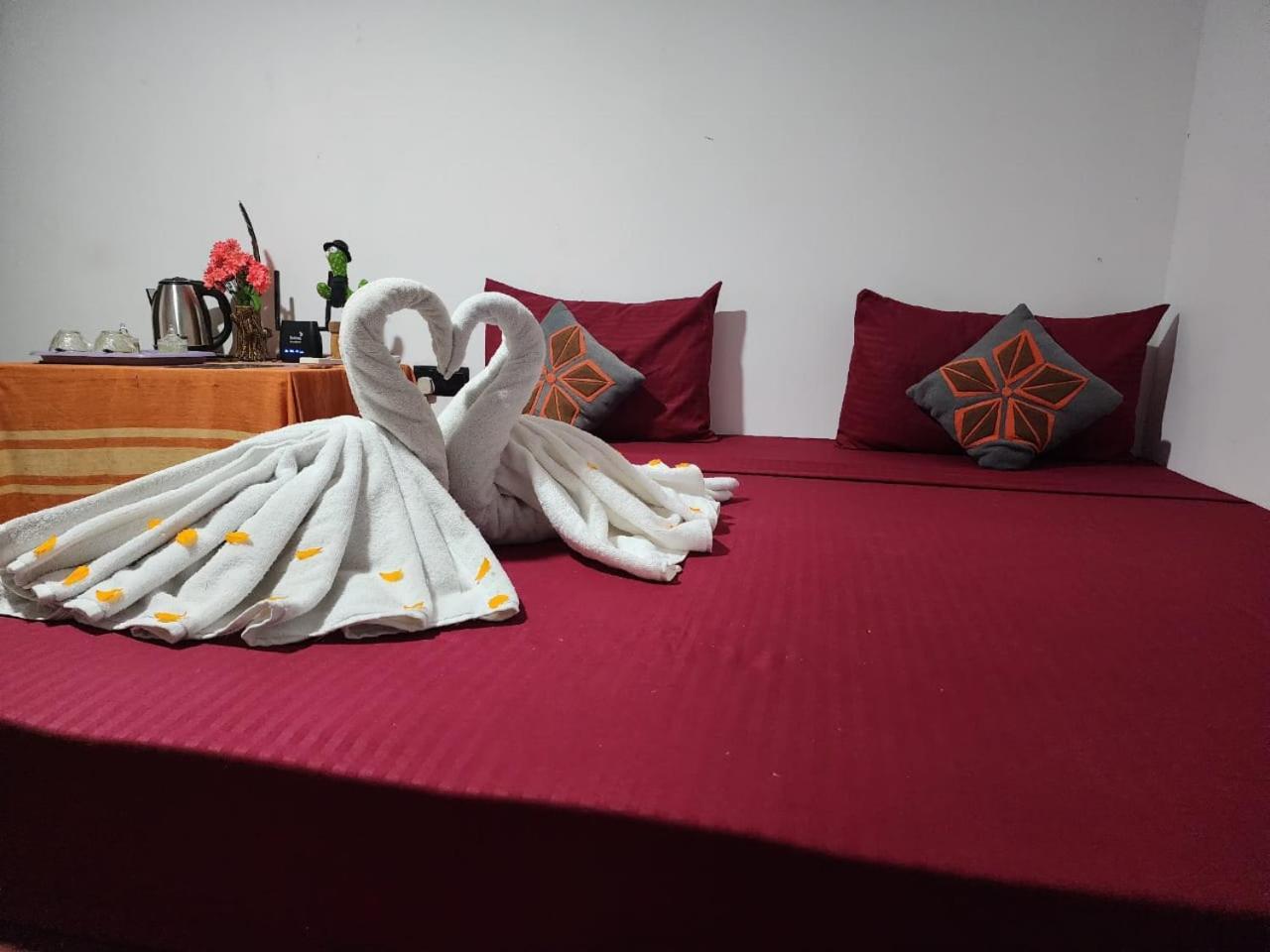 Homestay Elephant Safari Udawalawe